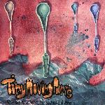 Tiny Moving Parts - Waves Rise, Waves Recede, The Ocean Is Full Of Waves (2008)