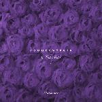 Violet Cold - Sommermorgen (Pt. I) - Innocence (2018)