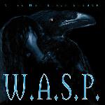 W.A.S.P. - Still Not Black Enough (1996)