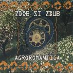 Zdob și Zdub - Agroromantica (2001)