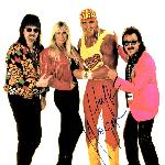 Hulk Hogan And The Wrestling Boot Band
