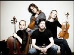 The Vitamin String Quartet