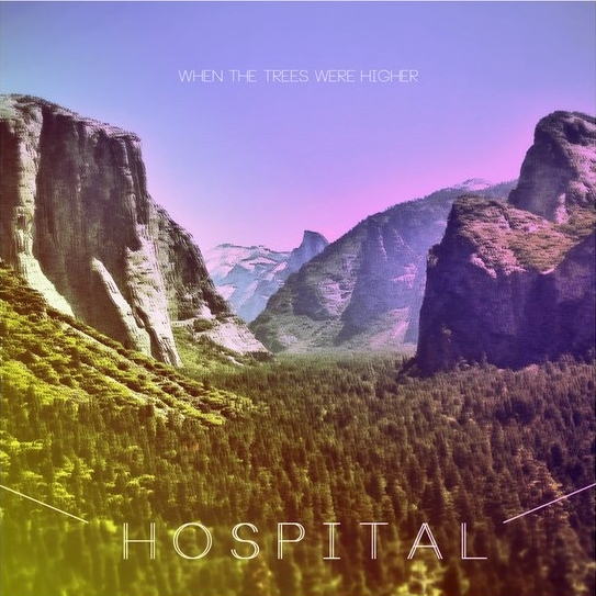 Hospital - When The Trees Were Higher  (2013)