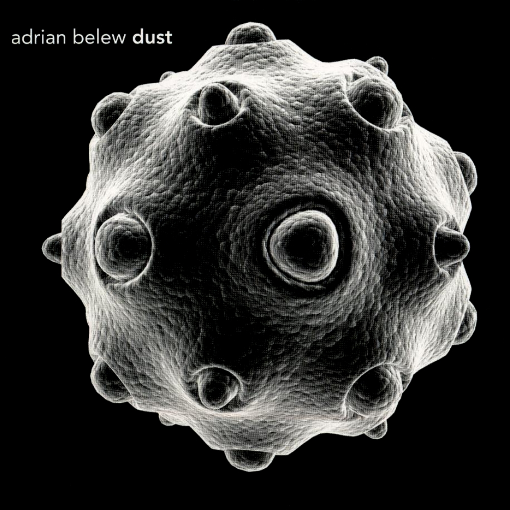 Adrian Belew - Dust (2014)