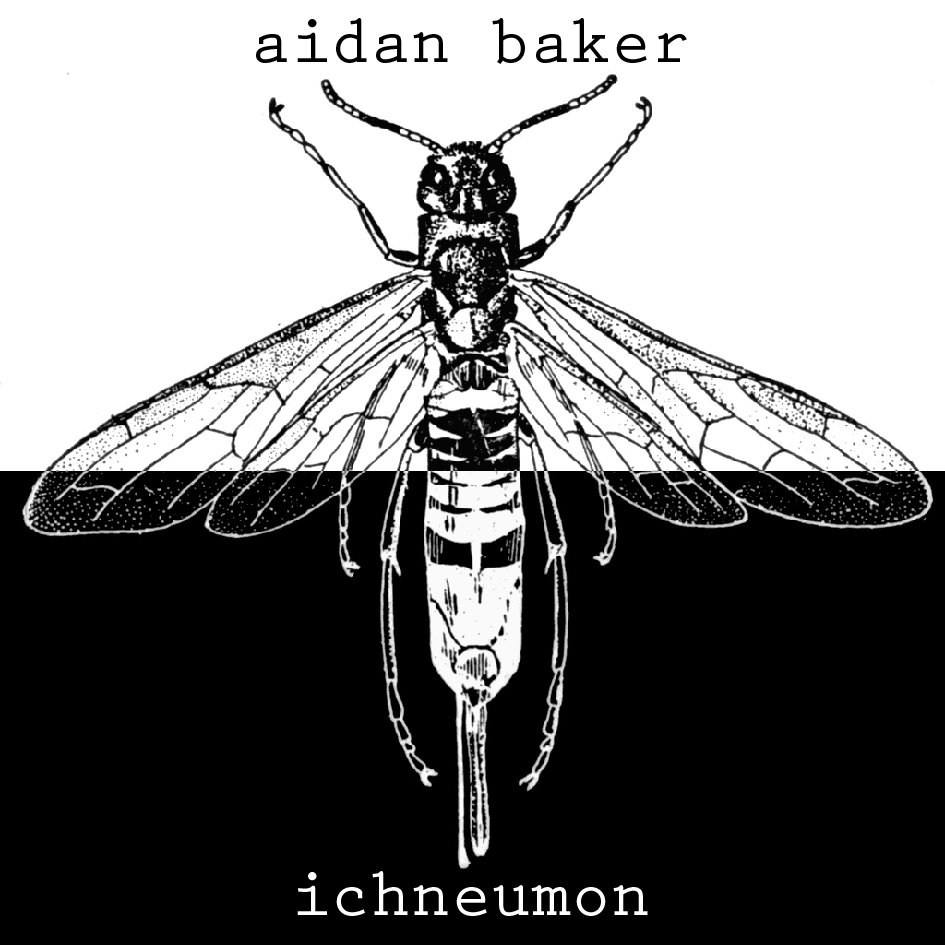 Aidan Baker - Ichneumon (2004)