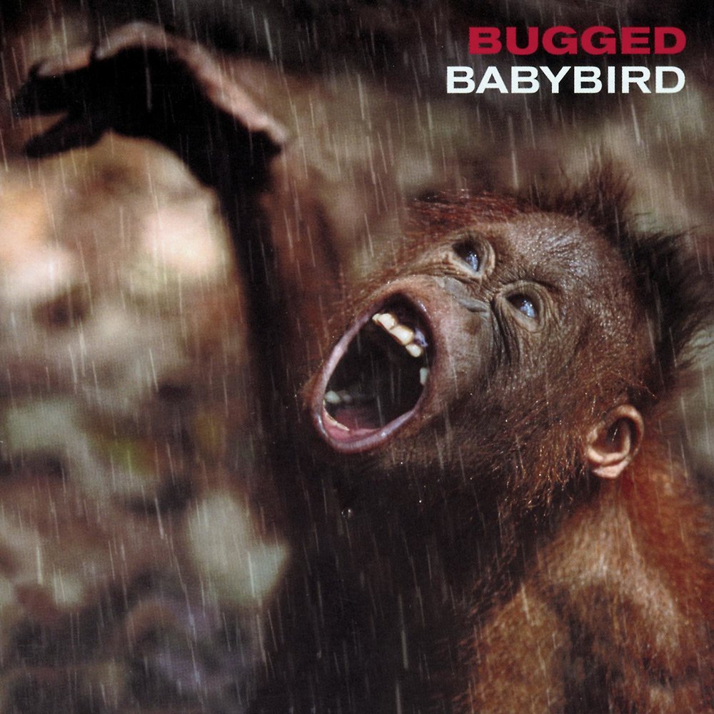 Babybird - Bugged (2000)