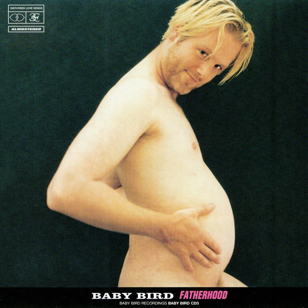 Babybird - Fatherhood (1995)