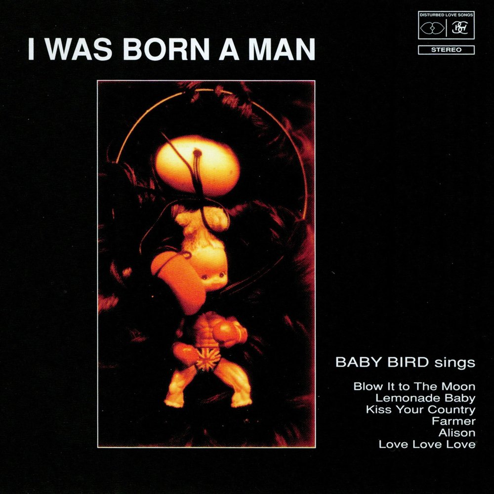 Babybird - I Was Born A Man (1995)