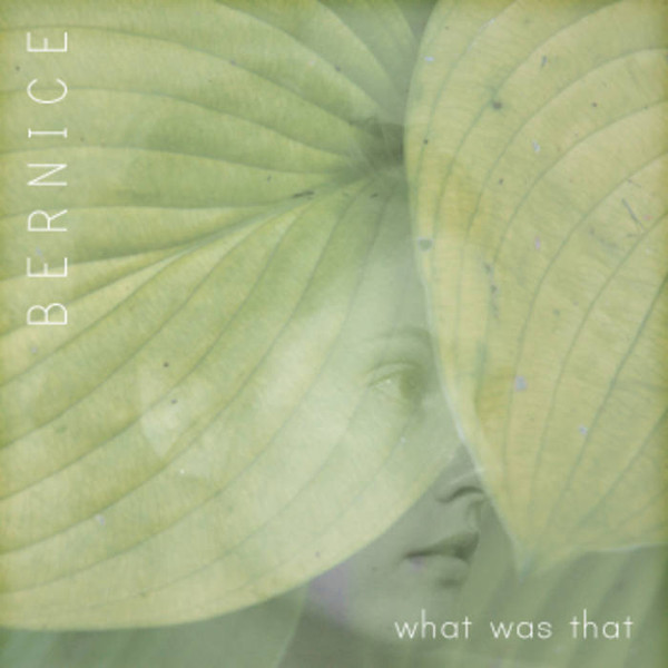Bernice - What Was That (2011)