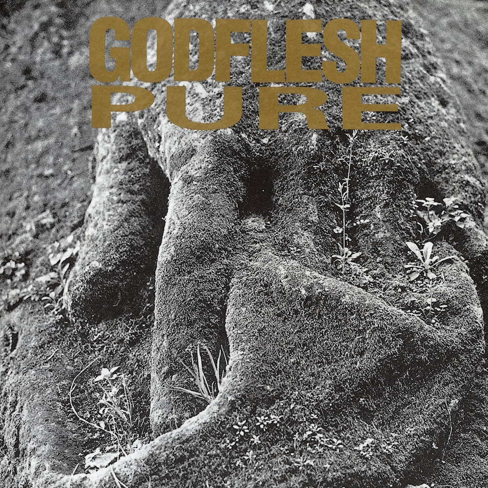 Godflesh - Pure (1992)
