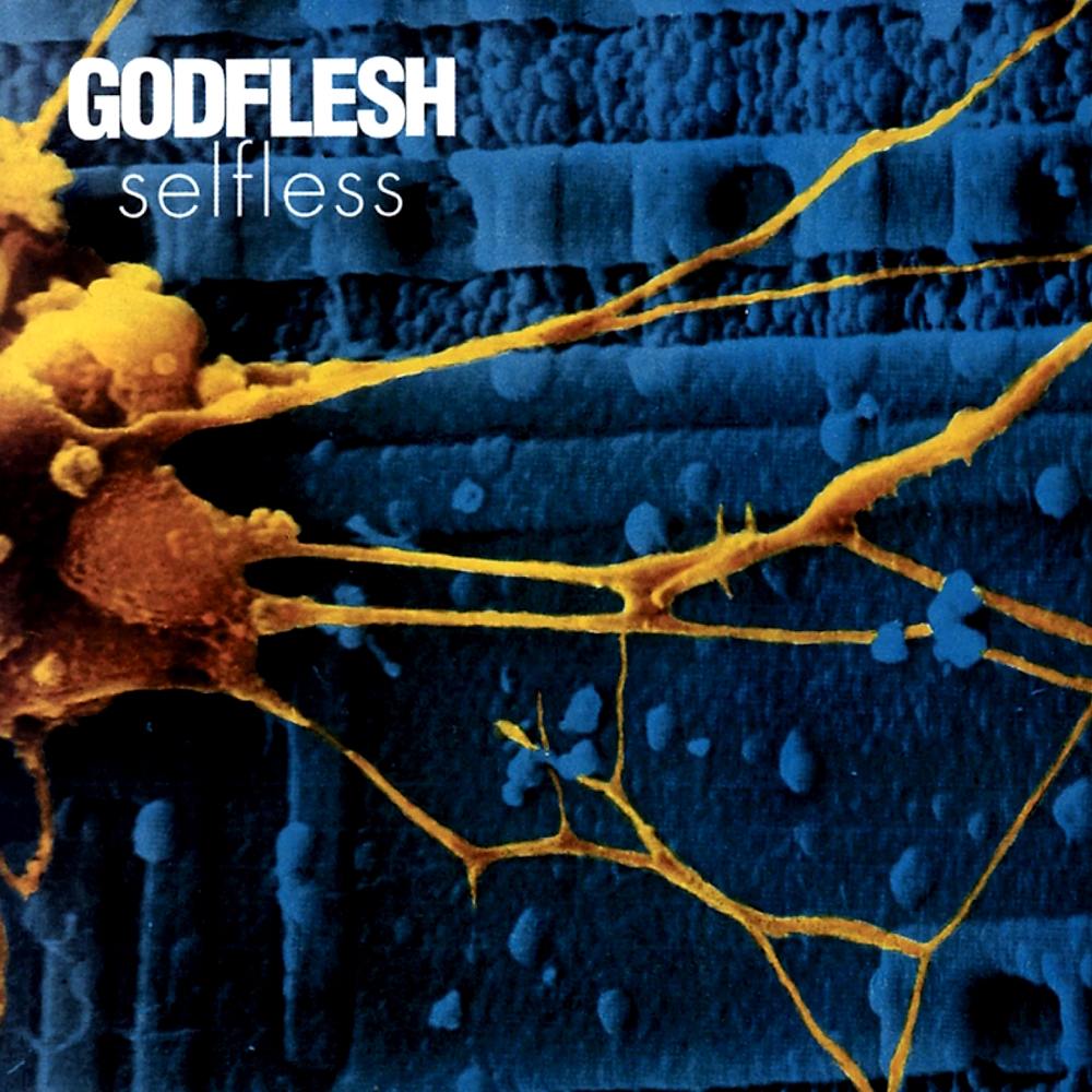 Godflesh - Selfless (1994)