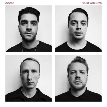 Goose - What You Need (2016)