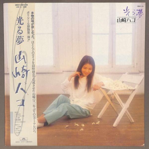 Hako Yamasaki - 光る夢 (1985)