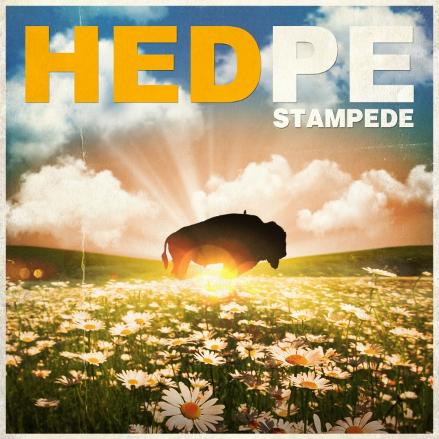 (həd) p.e. - Stampede (2019)