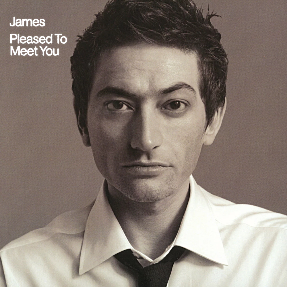 James - Pleased To Meet You (2001)