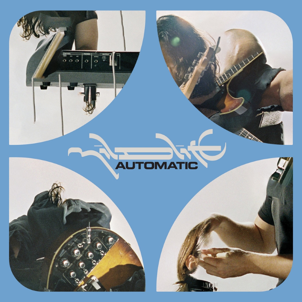 Mildlife - Automatic (2020)
