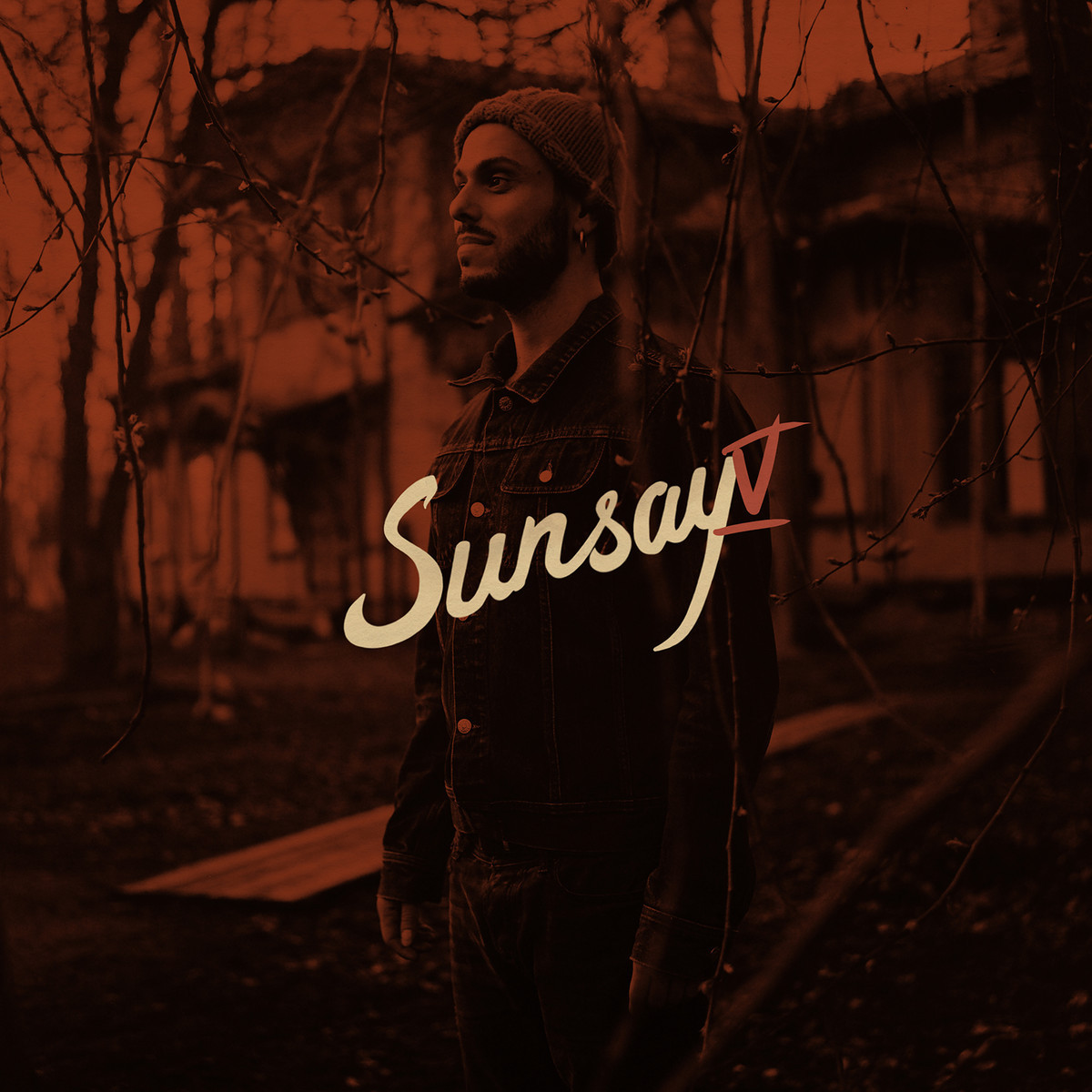 SunSay - V (2014)