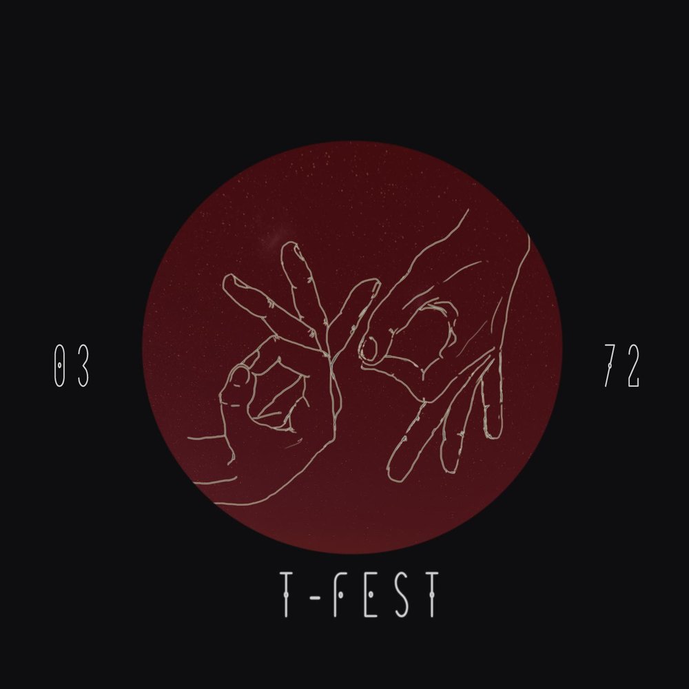 T-Fest - 0372 (2017)
