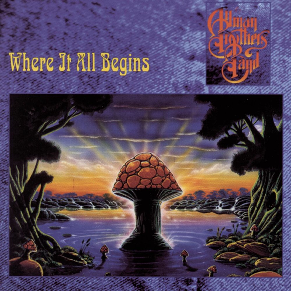 The Allman Brothers Band - Where It All Begins (1994)