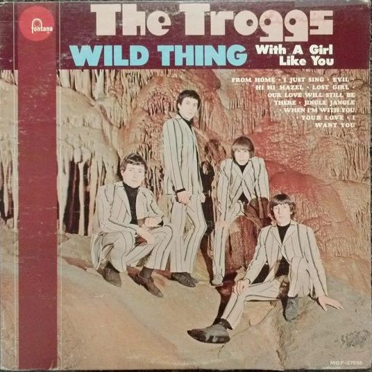 The Troggs - Wild Thing (1966)