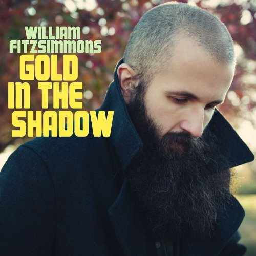 William Fitzsimmons - Gold in the Shadow (2011)