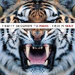This Is War (2009)