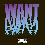 3OH!3 - Want (2008)