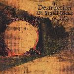 The Destruction Of Small Ideas (2007)