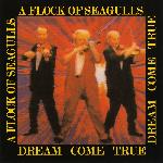 A Flock Of Seagulls - Dream Come True (1985)