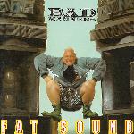 Fat Sound (1992)