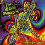 Blues Magoos - Psychedelic Resurrection (2014)