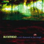 Buckethead - A Real Diamond In The Rough (2009)