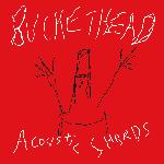 Acoustic Shards (2007)