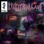 Buckethead - Pike 110: Wall To Wall Cobwebs (2015)