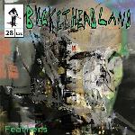 Buckethead - Pike 28: Feathers (2013)