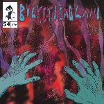 Buckethead - Pike 54: The Frankensteins Monsters Blinds (2014)