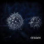Cranes (2008)