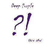 Deep Purple - Now What?! (2013)