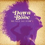Down To The Bone - The Main Ingredients (2011)