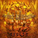 Drugon - Perfect Hallucination (2006)