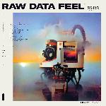 Raw Data Feel (2022)