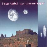 Harald Grosskopf - Digital Nomad (2002)