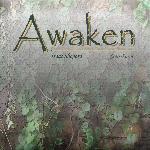 Awaken (2010)
