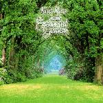 In the Enchanted Garden (1996)
