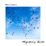 Klaus Schønning - Migratory Birds (2022)