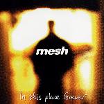 Mesh - In This Place Forever (1996)