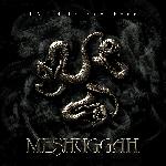 Meshuggah - Catch Thirtythree (2005)