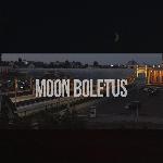 Moon Boletus - Moon Boletus (2016)