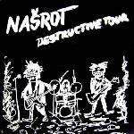 Destructive Tour (1991)