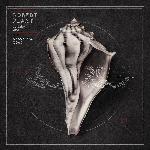 Robert Plant And The Sensational Space Shifters - Lullaby And... The Ceaseless Roar (2014)